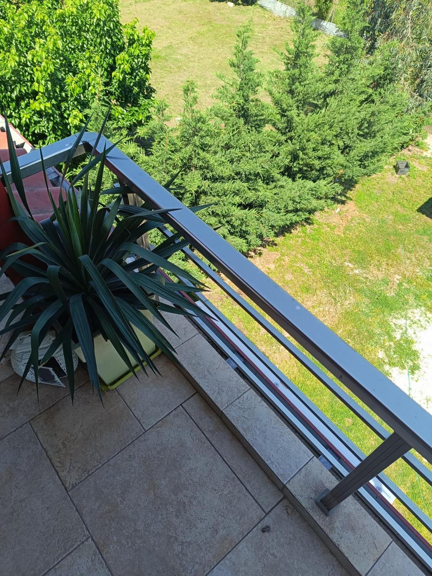 Loft *
